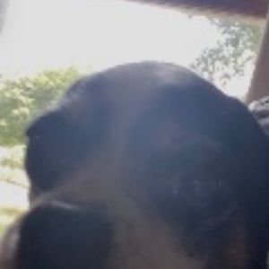 Meet your Posher, Jack